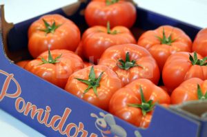 Pomidor czerwony