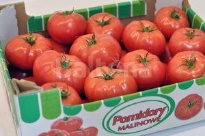 Pomidor malinowy